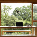 DCW Editions Mantis BS3 Table Lamp | All Square Lighting