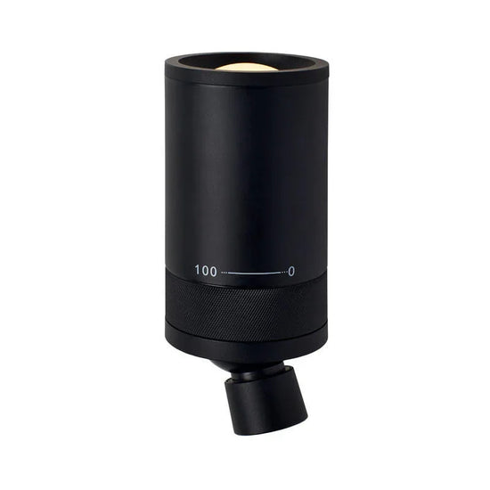 Vision 20/20 Omni Wall Light