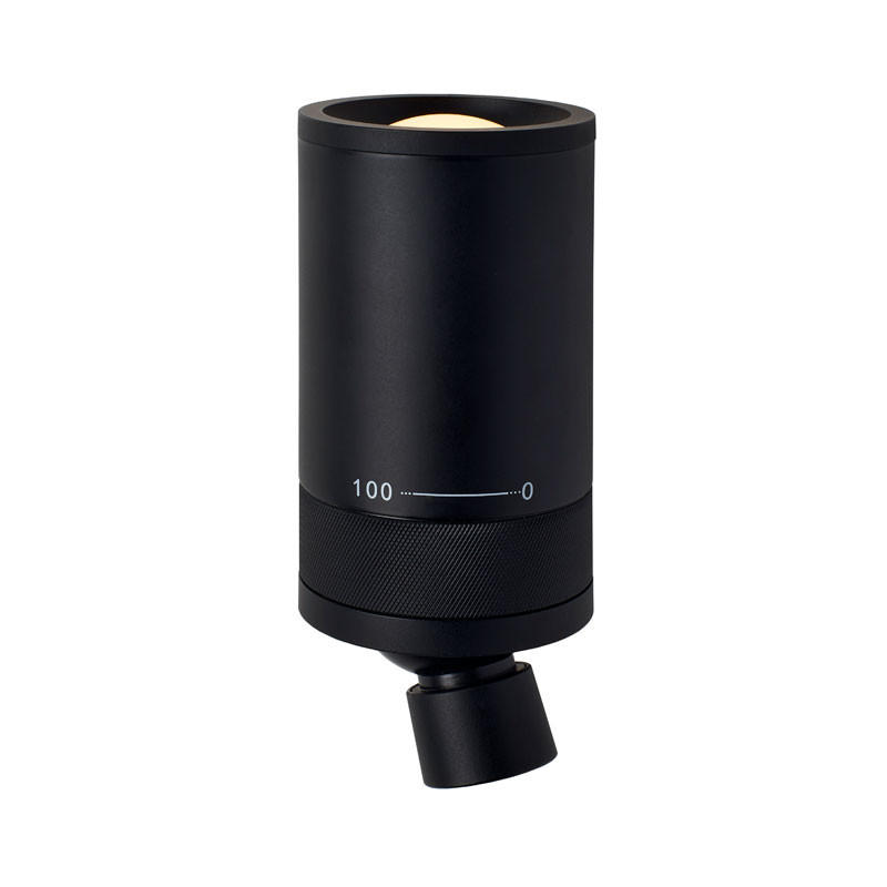 Vision 20/20 Omni Wall Light