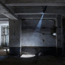 Delta Light Spy 39 Clip Framer Spotlight | All Square Lighting