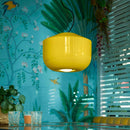 Ferroluce Ballota C2540 Pendant Light | All Square Lighting