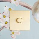 Forbes & Lomax F&L Brushed Brass Switches & Sockets | All Square Lighting