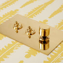 Forbes & Lomax F&L Unlacquered Brass Switches & Sockets | All Square Lighting