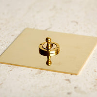 Forbes & Lomax F&L Unlacquered Brass Switches & Sockets | All Square Lighting
