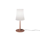 Foscarini Birdie Easy Piccola Table Lamp | All Square Lighting