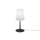 Foscarini Birdie Easy Piccola Table Lamp | All Square Lighting