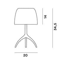 Foscarini Lumiere 30th Piccola Table Lamp | All Square Lighting