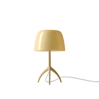 Foscarini Lumiere Nuances Piccola Table Lamp | All Square Lighting