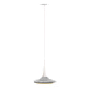 Grau Faling Leaf Recessed Pendant Light | All Square Lighting