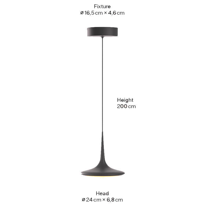 Grau Faling Leaf Surface Pendant Light | All Square Lighting