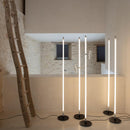 Karman Accipicchio Floor Lamp | All Square Lighting