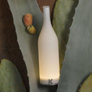 Karman Bacco Table Lamp | All Square Lighting