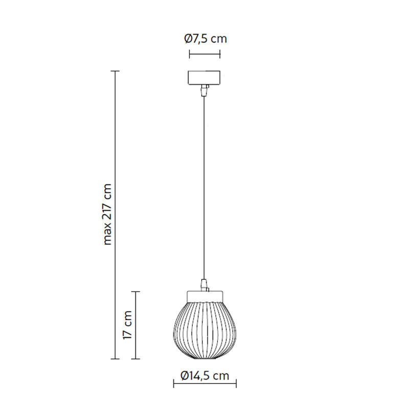 Ceraunavolta 1A Pendant Light