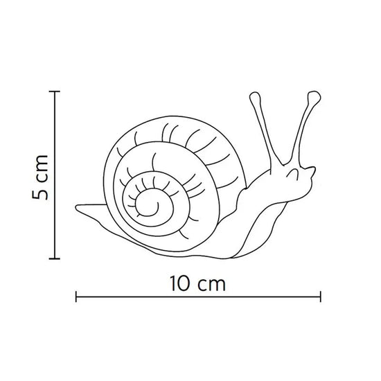 Va . Lentina Accessory