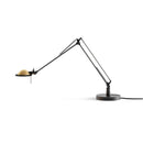 Luceplan Berenice 45 Table Lamp | All Square Lighting