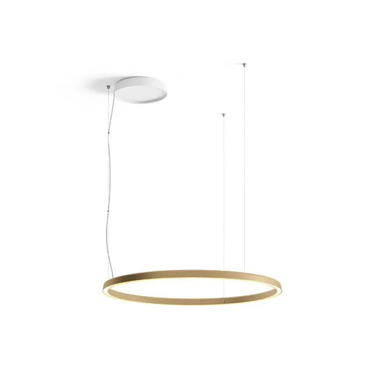 Compendium Circle Medium Pendant Light