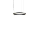 Luceplan Compendium Circle Small Pendant Light | All Square Lighting