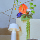 Marset Bicoca Table Lamp | All Square Lighting