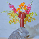 Marset Bicoca Table Lamp | All Square Lighting