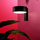 Marset Plaff-on! A Wall Light | All Square Lighting