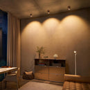 Occhio Io giro VOLT Spotlight | All Square Lighting