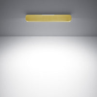 Occhio Mito Alto Side 40 Up Ceiling Light | All Square Lighting