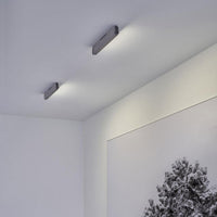 Occhio Mito Alto Side 40 Up Ceiling Light | All Square Lighting