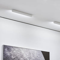 Occhio Mito Alto Side 40 Up Ceiling Light | All Square Lighting