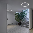 Occhio Mito Soffitto 60 Up Ceiling Light | All Square Lighting