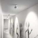 Occhio Più alto 3d VOLT Spotlight | All Square Lighting