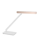 Occhio Taglio Tavolo Table Lamp | All Square Lighting