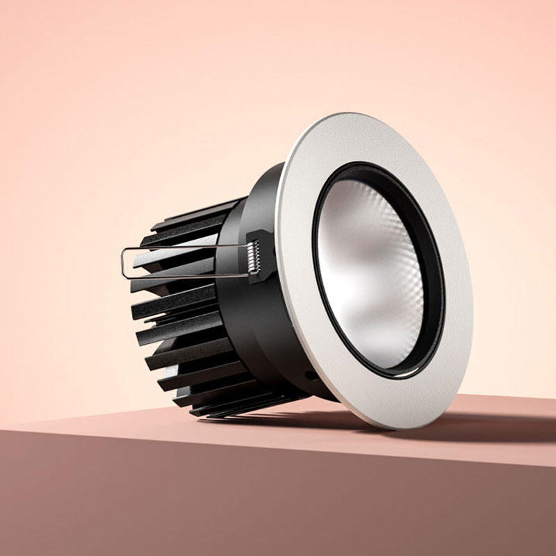 Arello Adjustable Downlight