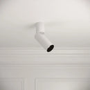 Orluna Cloud Intergrated Adjustable Spotlight 