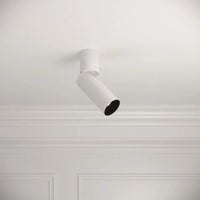Orluna Cloud Intergrated Adjustable Spotlight 