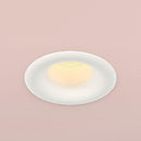Orluna Curve Mini Downlight | All Square Lighting