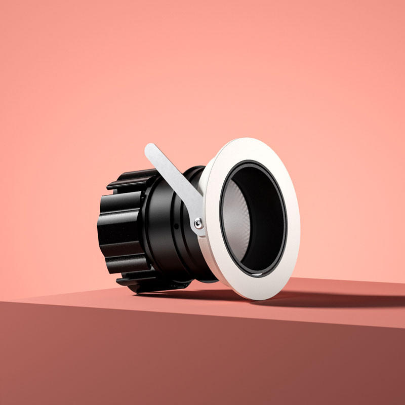 Dino Adjustable Downlight