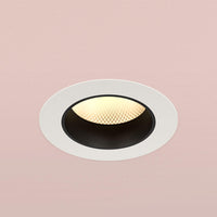 Orluna Dino Fixed Downlight | All Square Lighting