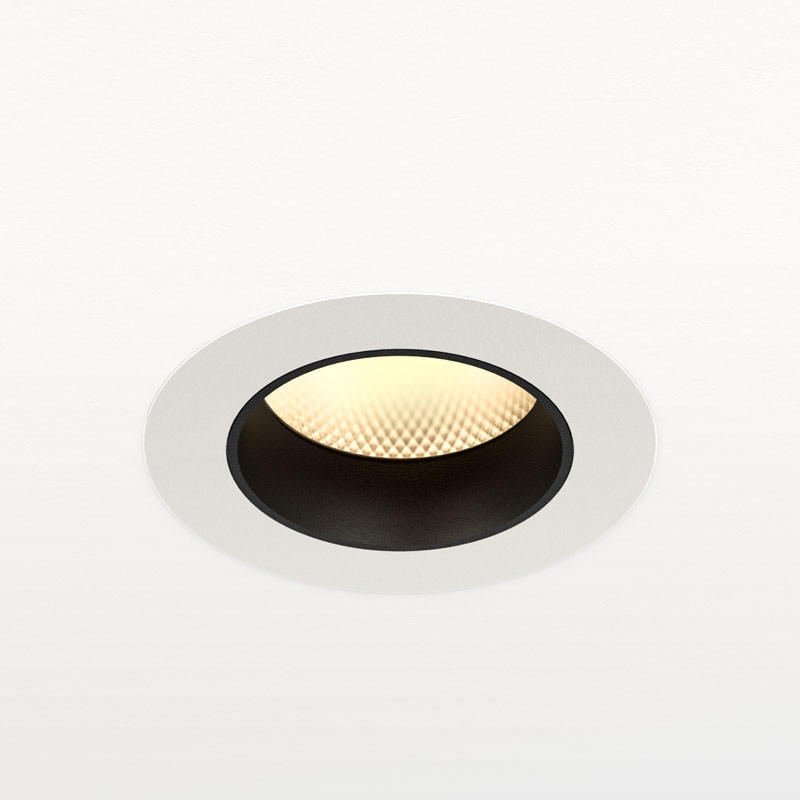 Orluna Dino Fixed Downlight | All Square Lighting