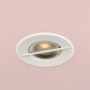 Orluna Duet Wallwasher Downlight | All Square Lighting