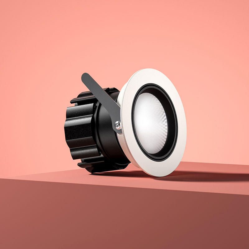 Fina Adjustable Downlight