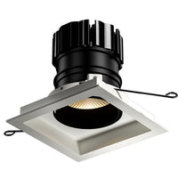 Orluna Look Adjustable Downlight | All Square Lighting