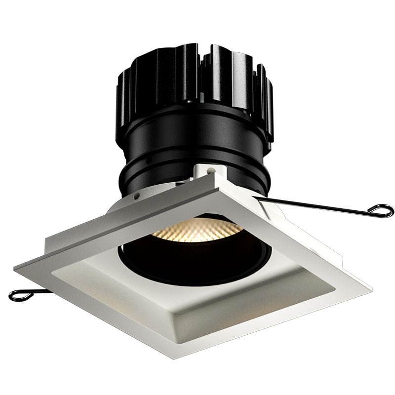 Orluna Look Adjustable Downlight | All Square Lighting