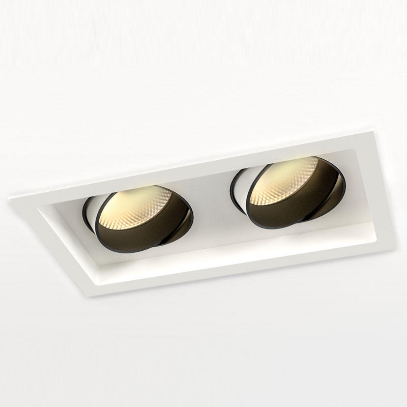 Orluna Look Twin Adjustable Downlight | All Square Lighting