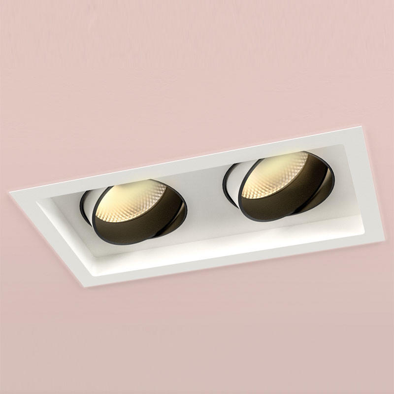 Orluna Look Twin Adjustable Downlight | All Square Lighting