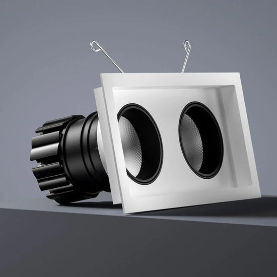 Look Twin Adjustable Downlight