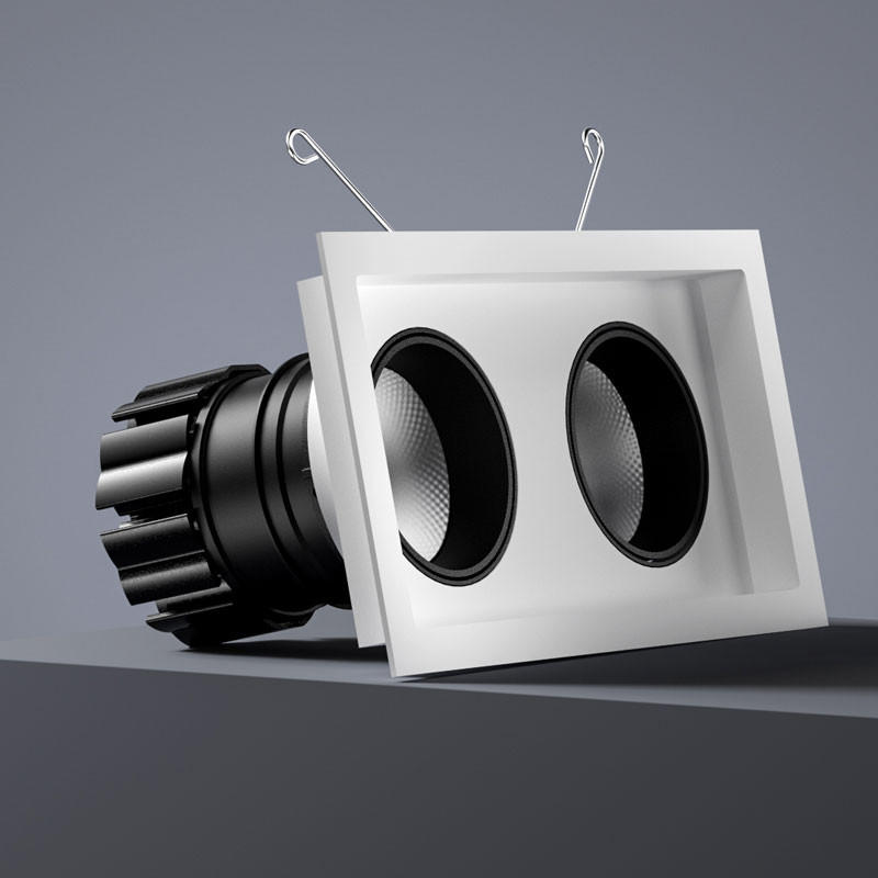 Look Twin Adjustable Downlight