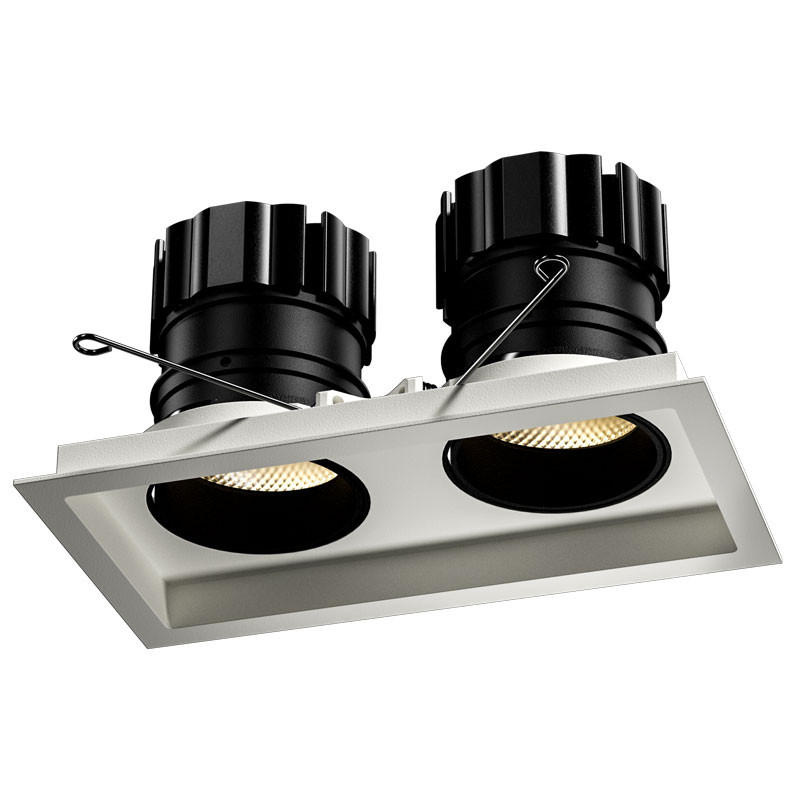Orluna Look Twin Adjustable Downlight | All Square Lighting