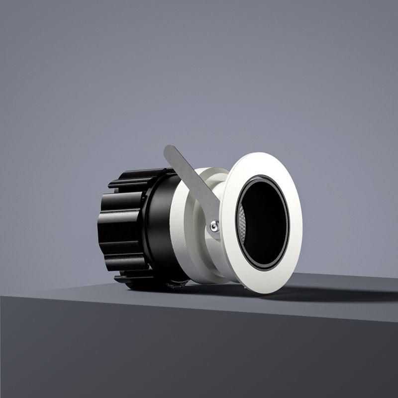 Mina Adjustable Downlight
