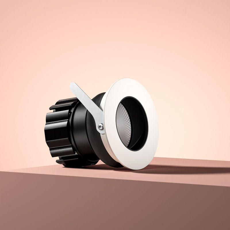 One Adjustable Downlight