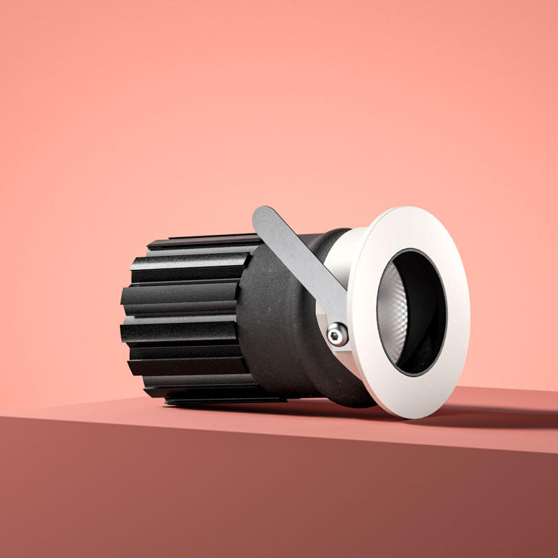 One Mini Adjustable Downlight
